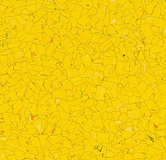 Кварцвиниловые полы Forbo  Colorex Signal SD 150231 sole фото 1 | FLOORDEALER